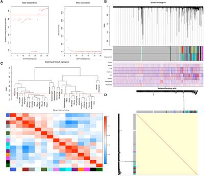 Integrated Weighted Gene Co-expression Network Analysis Identified That TLR2 and CD14 Are Related to Coronary Artery Disease